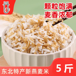 2025新货东北燕麦米生燕麦仁农家自种胚芽米燕麦粒杂粮粗粮早餐粥