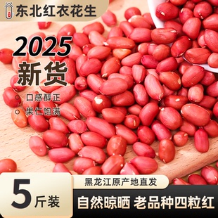 东北红皮花生2025新货生花生米下酒菜花生仁四粒红花生不带壳坚果