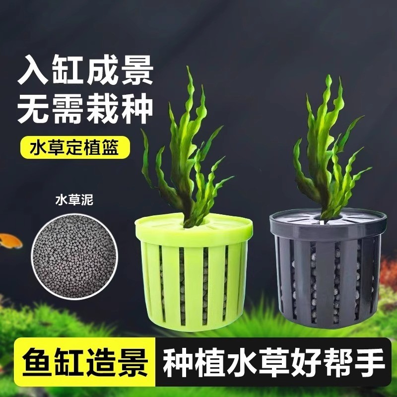家用鱼缸水草定植篮造景装饰养草杯花卉固根器水草泥沉底固定器
