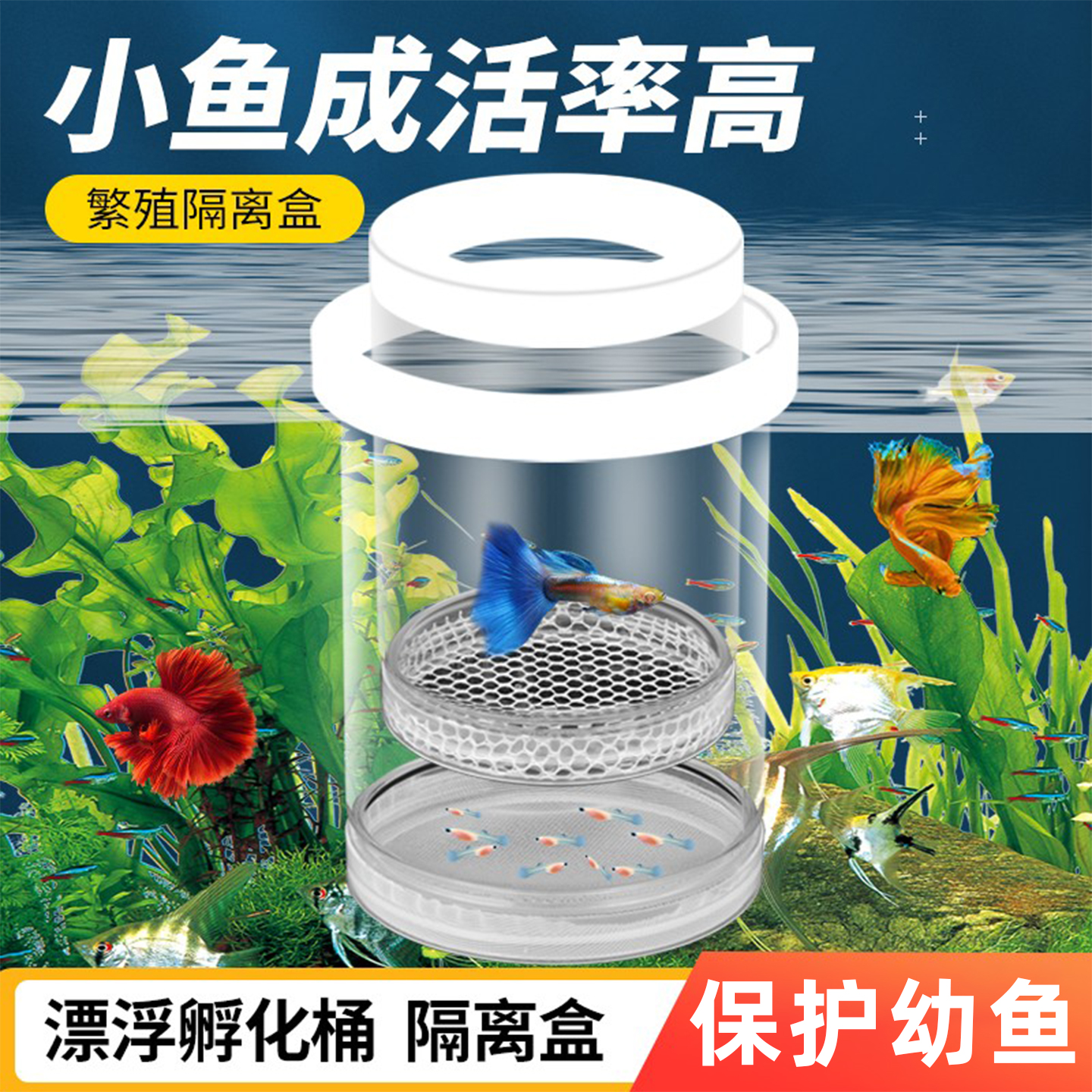 鱼卵鱼苗孵化器鱼缸繁殖隔离箱