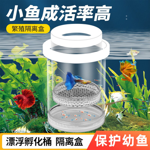 鱼卵鱼苗孵化器鱼缸繁殖隔离箱