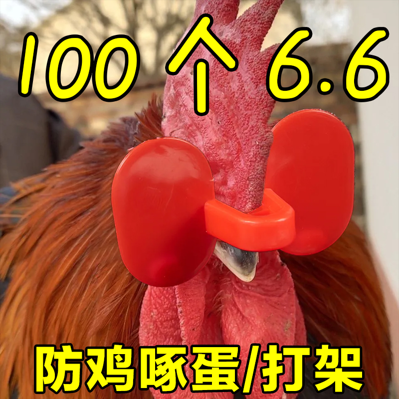 公鸡卡式鸡戴眼镜鸡眼镜养殖无栓方便防打架防啄毛防啄肛大