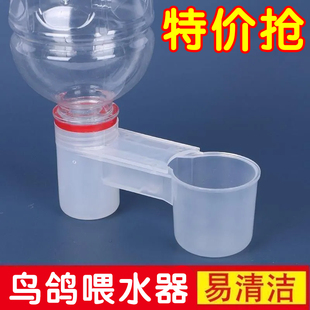 养殖水槽鹦鹉鸽子小鸟饮水器食盒鸽笼挂盒饮料瓶自动饮水器喂水器