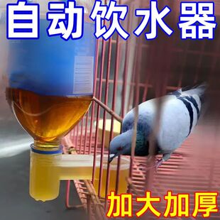 养殖水槽鹦鹉鸽子小鸟饮水器食盒鸽笼挂盒饮料瓶自动饮水器喂水器