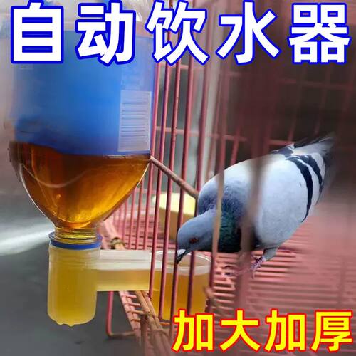 养殖水槽鹦鹉鸽子小鸟饮水器食盒鸽笼挂盒饮料瓶自动饮水器喂水器
