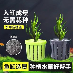 鱼缸水草定植篮养草杯花卉固根器水草泥沉底固定神器家用造景装饰