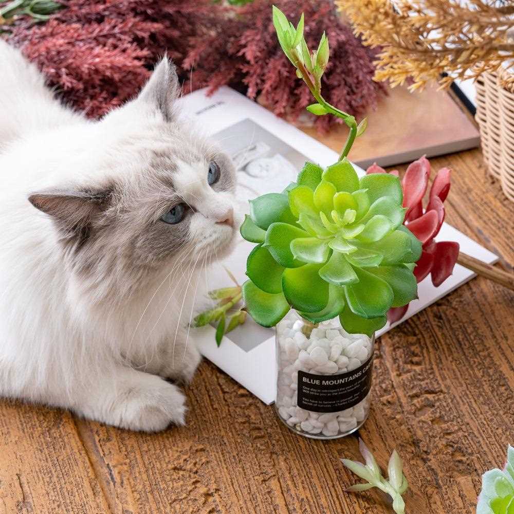 直销新款 带花连体宝莲 室内植物墙 假花仿真花微景观多肉仿真MW1