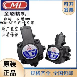 20D 20C 20B 福伊特齿轮泵台湾全懋CML 12D VCM
