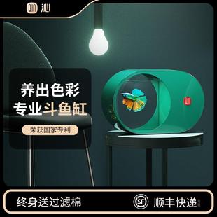 斗鱼专用小鱼缸泰国观赏鱼繁殖一体生态创意造景养中国斗鱼的缸