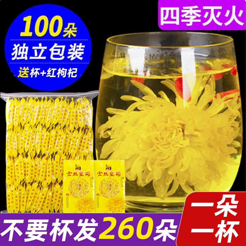 金丝皇菊一朵一杯下火