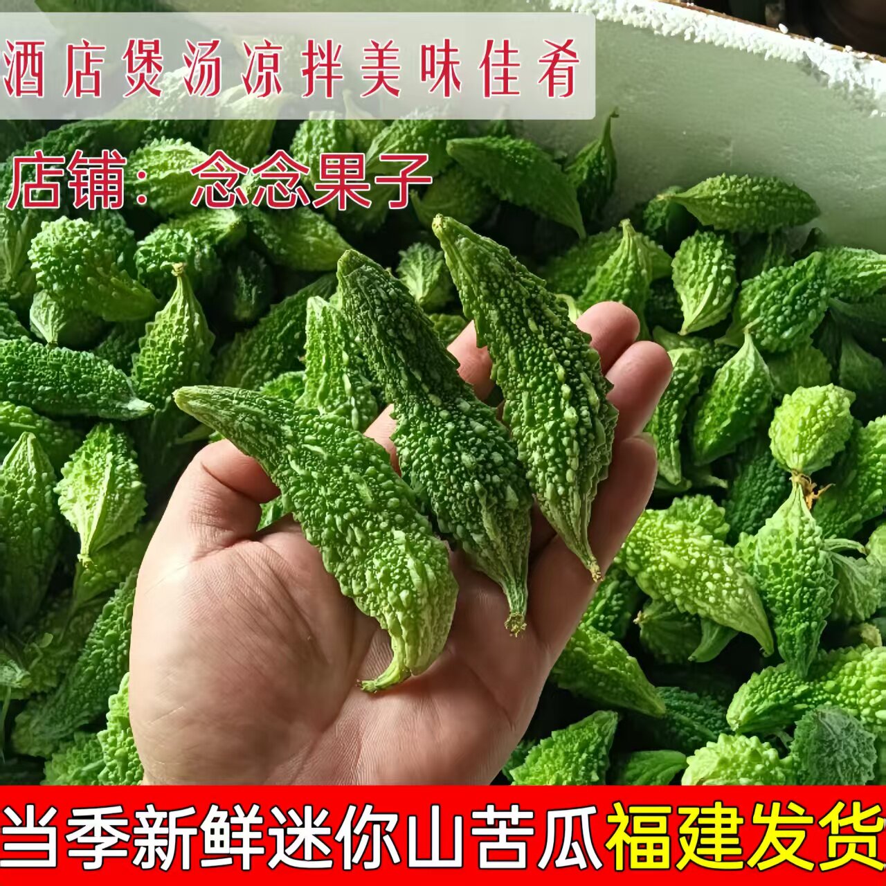 新鲜山苦瓜当季野苦瓜野生苦瓜小苦瓜仔农家自种炒蛋酿肉炖汤煲汤