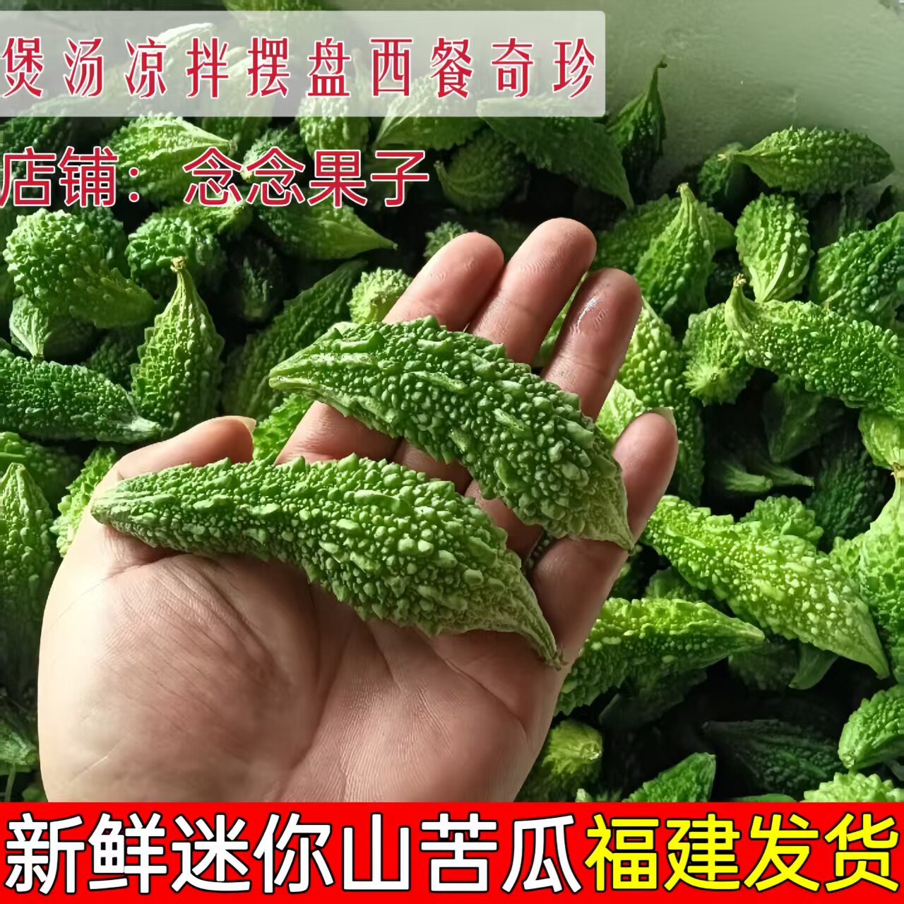 新鲜山苦瓜当季野苦瓜野生苦瓜小苦瓜仔农家自种炒蛋酿肉炖汤煲汤