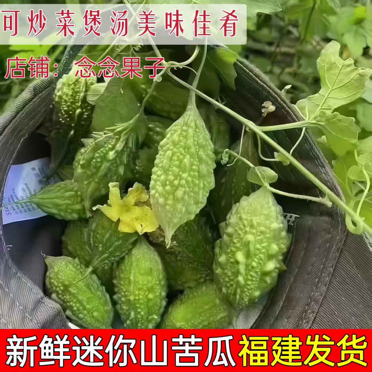 新鲜山苦瓜当季野苦瓜野生苦瓜小苦瓜仔农家自种炒蛋酿肉炖汤煲汤