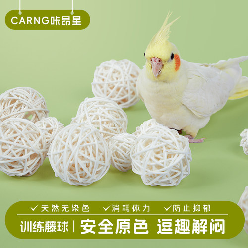咔昂星鹦鹉玩具啃咬互动益智训练