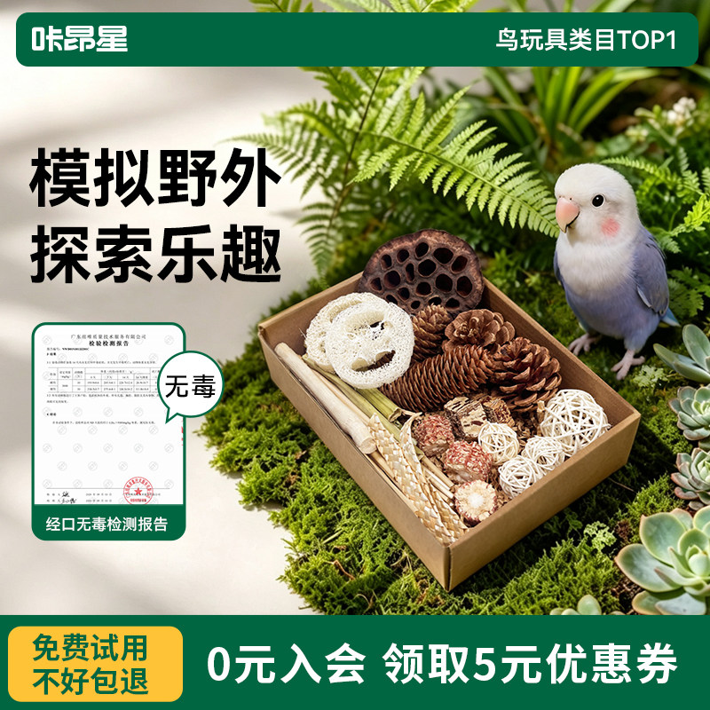 咔昂星牡丹鹦鹉磨牙磨嘴玩具天然啃咬棒玄凤虎皮小太阳鹦鹉鸟玩具
