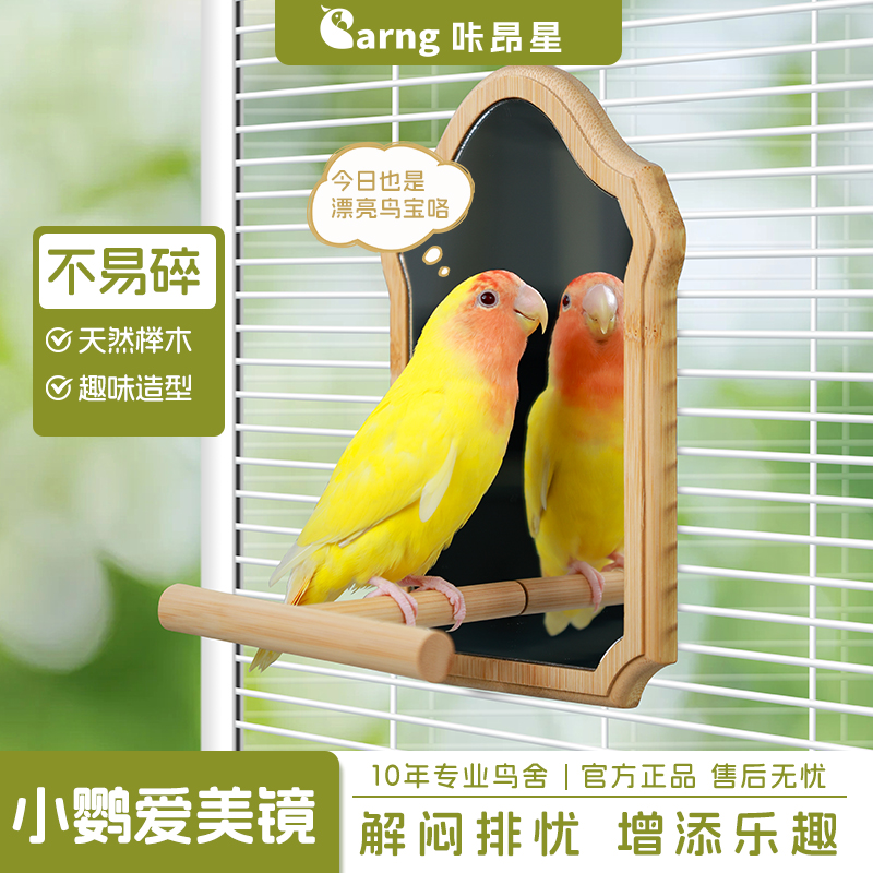咔昂星鹦鹉玩耍解闷镜子