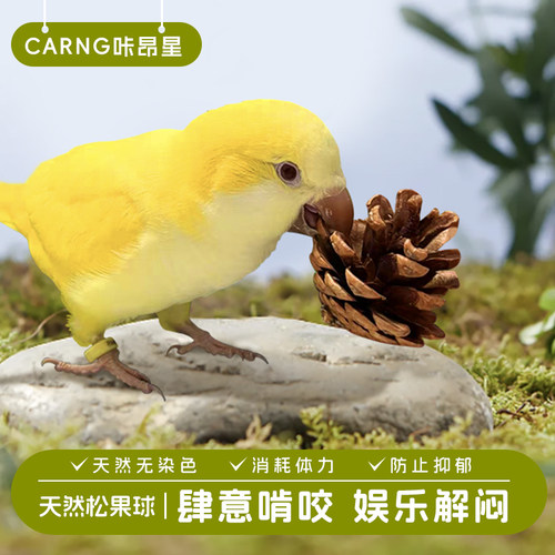 咔昂星鹦鹉玩具大全解闷自嗨啃咬松果松球牡丹磨嘴牙用品鸟笼配件