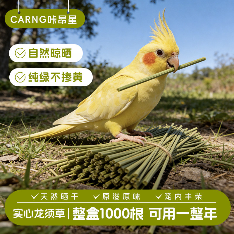 咔昂星鹦鹉啃咬玩具磨牙棒解闷自嗨龙须草小太阳玄凤牡丹小鸟玩具图片