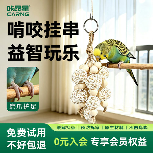 咔昂星鹦鹉吊环挂件小鸟家园美化布置高颜值笼内造景装饰玩具藤球