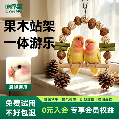 咔昂星虎皮牡丹鹦鹉微型攀爬架啃咬耐咬专用磨牙玩具鸟笼装饰秋千