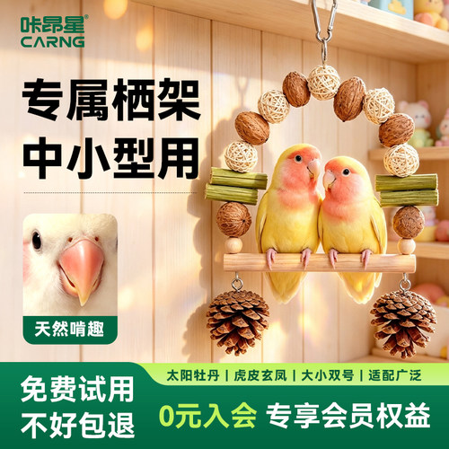 咔昂星虎皮牡丹鹦鹉鸟笼装饰微型秋千攀爬架啃咬耐咬专用磨牙玩具