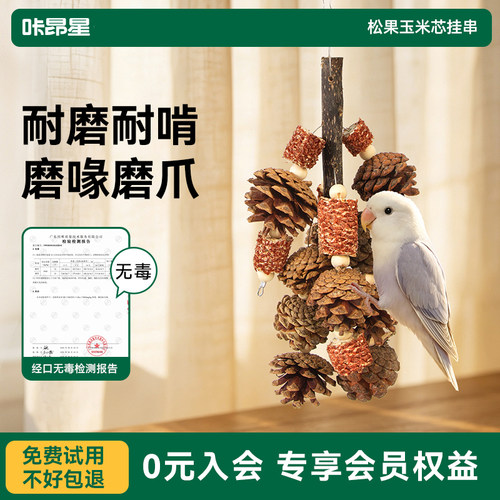 咔昂星鹦鹉家园小鸟玩具美化布置装饰藤球高颜值笼内造景吊环挂件