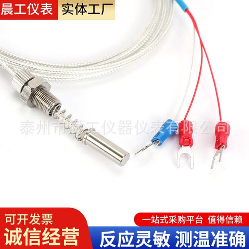 直销端面热电阻PT100精度工业热电阻WZPM-201螺纹热电阻