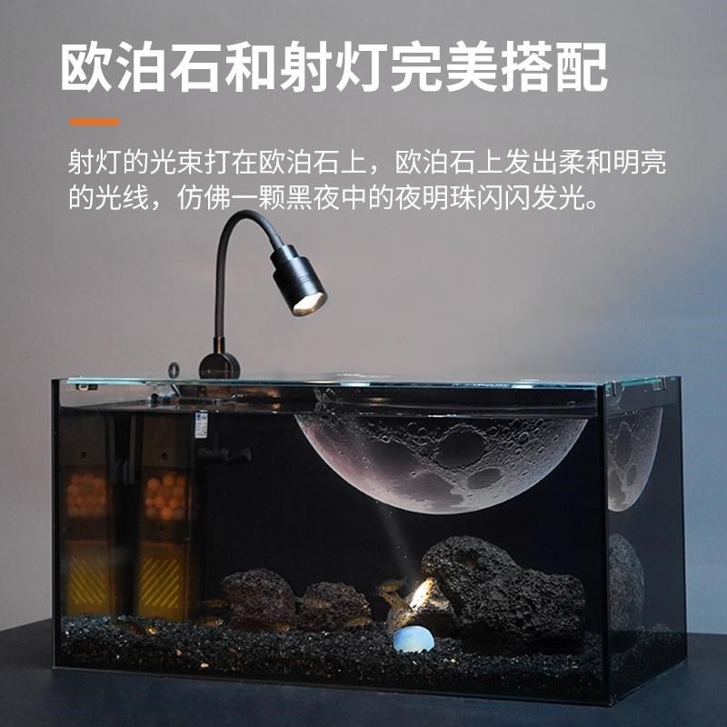 创意造景内滤鱼缸全套造景雷龙缸小型桌面超白玻璃客厅家用自循环