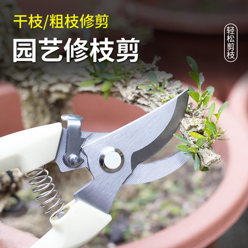 果树修枝粗枝剪刀园艺园林修花枝剪家用强力花剪子神器剪枝剪刀