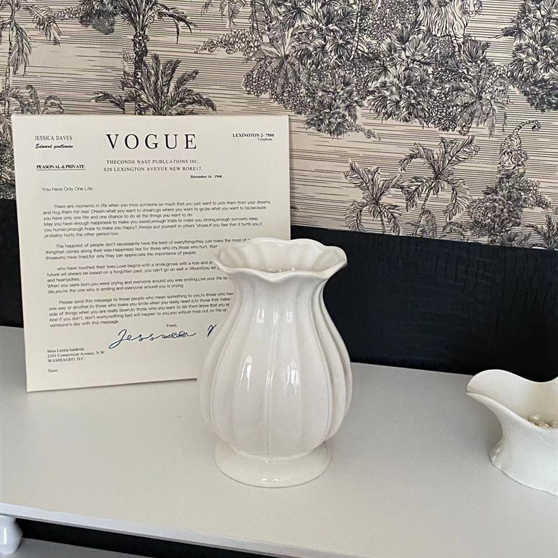 法式百搭简约白色陶瓷花瓶高级感轻奢桌面复古摆件插花装饰花器