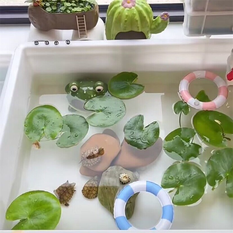 乌龟游泳圈移动晒背台爬台小型爬宠龟缸造景装饰漂浮玩具摆件用具