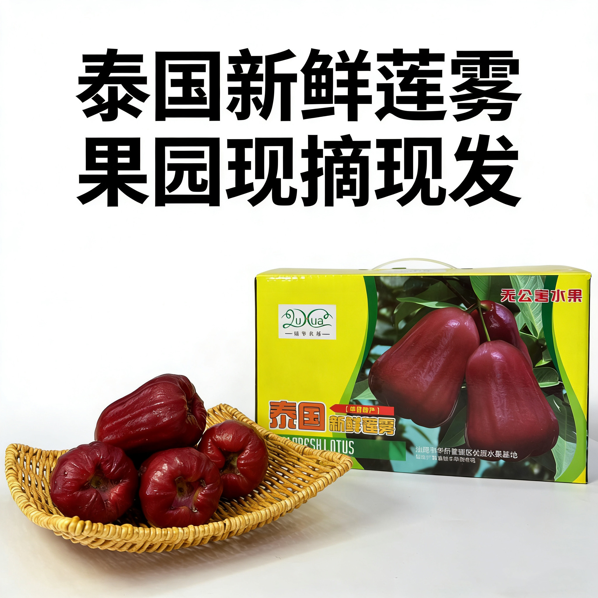 汕尾陆丰泰国莲雾黑金刚华桥农场多汁味甜连雾水果特产新鲜送礼