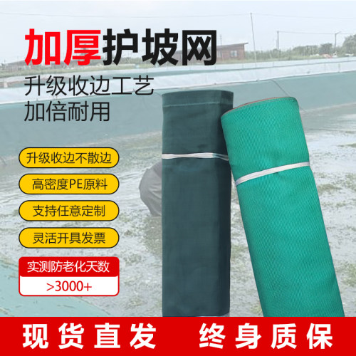 池塘固土护坡网10目40目网布加厚