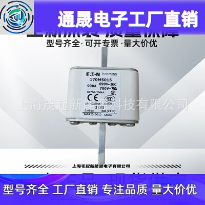 170M5062 170M5163 170M5015 170M5218 170M5213 巴斯曼熔断器