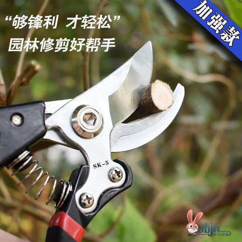 园林花匠修剪枝条剪刀修枝专用修花修枝剪园艺月季细锋利家用花剪