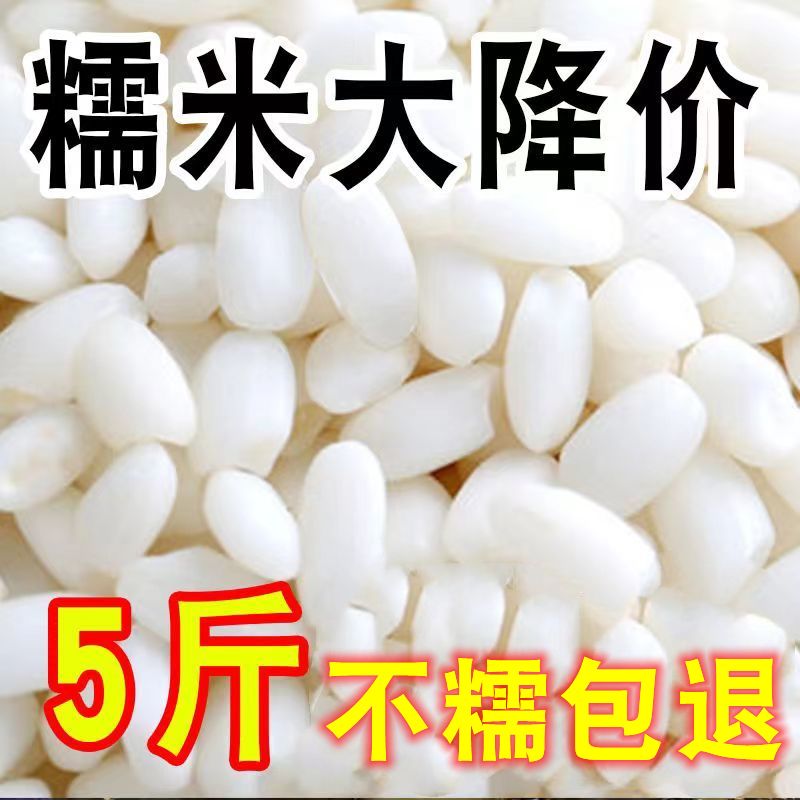 正宗当季新米东北圆糯米5斤新鲜优质香白江米糯米粽子非10斤1斤