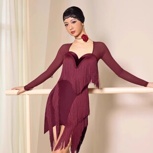 流苏连衣裙小花服套装 2026秋冬新款 成人拉丁舞比赛服网纱方领长袖
