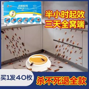 餐厅专用饭店非无毒全窝端灭除绝杀胶饵剂 蟑螂药家用神器一窝正品