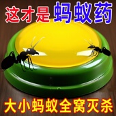 蚂蚁药强效出租屋非无毒一窝端卧室厨房蚂蚁克星灭虫神器方便贴