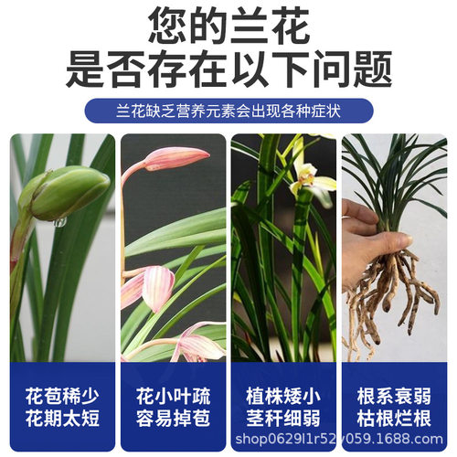 兰灵王兰花专用营养液肥料兰陵王EM菌兰科蝴蝶兰墨兰君子兰促花液