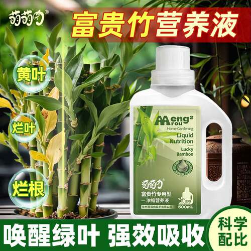 富贵竹营养液植物通用浓缩肥防黄叶烂根四季常绿速生根专用营养肥