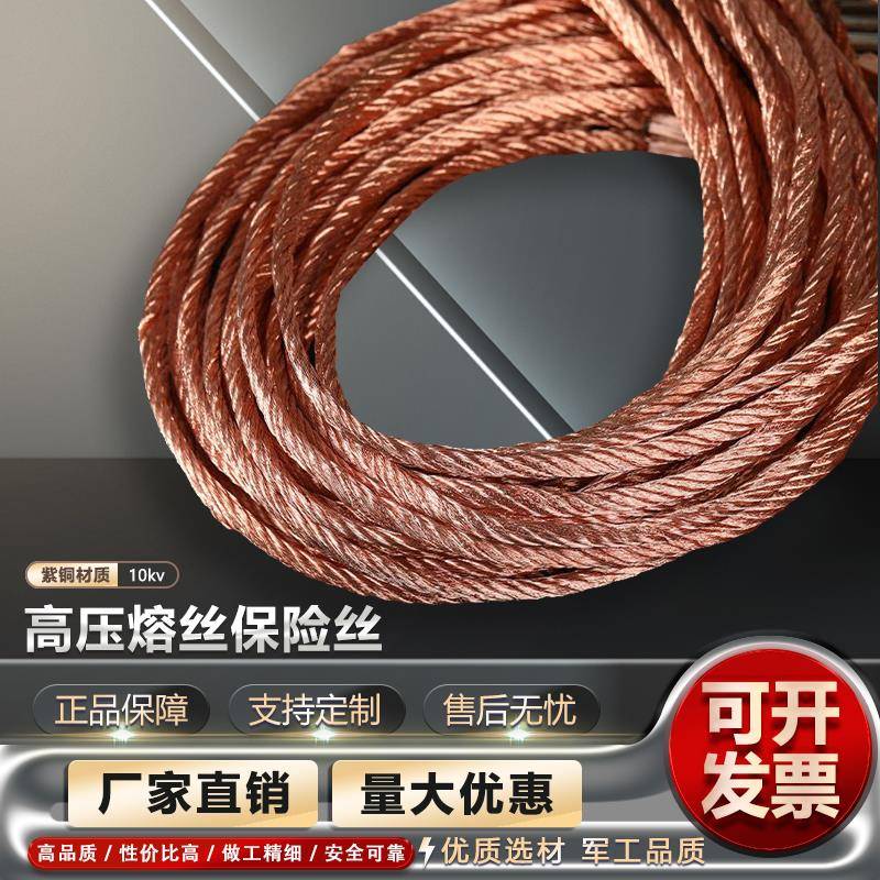 10kv高压带扣熔丝保险丝3A-200A熔断器保险丝变压器令克保险丝