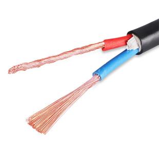 1.5 安普RVVP屏蔽线信号监控电源线0.5 1.0 2.5平方 0.75