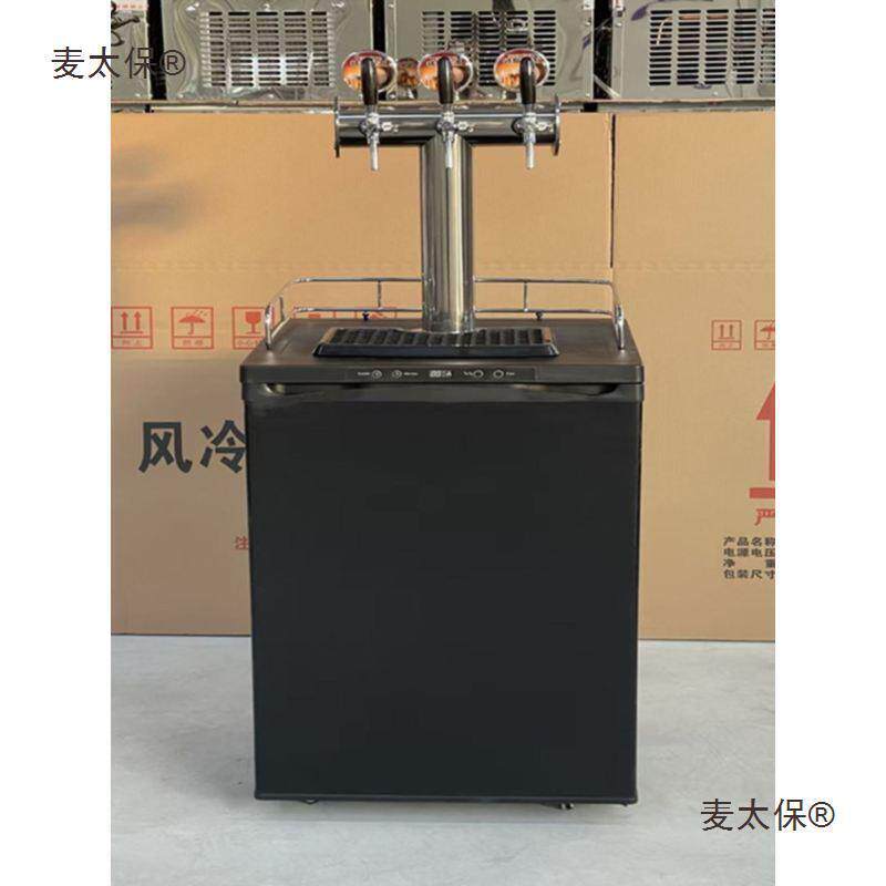 双头精酿啤酒机风冷扎啤机商用生啤机kegerator水冷打酒制麦太保