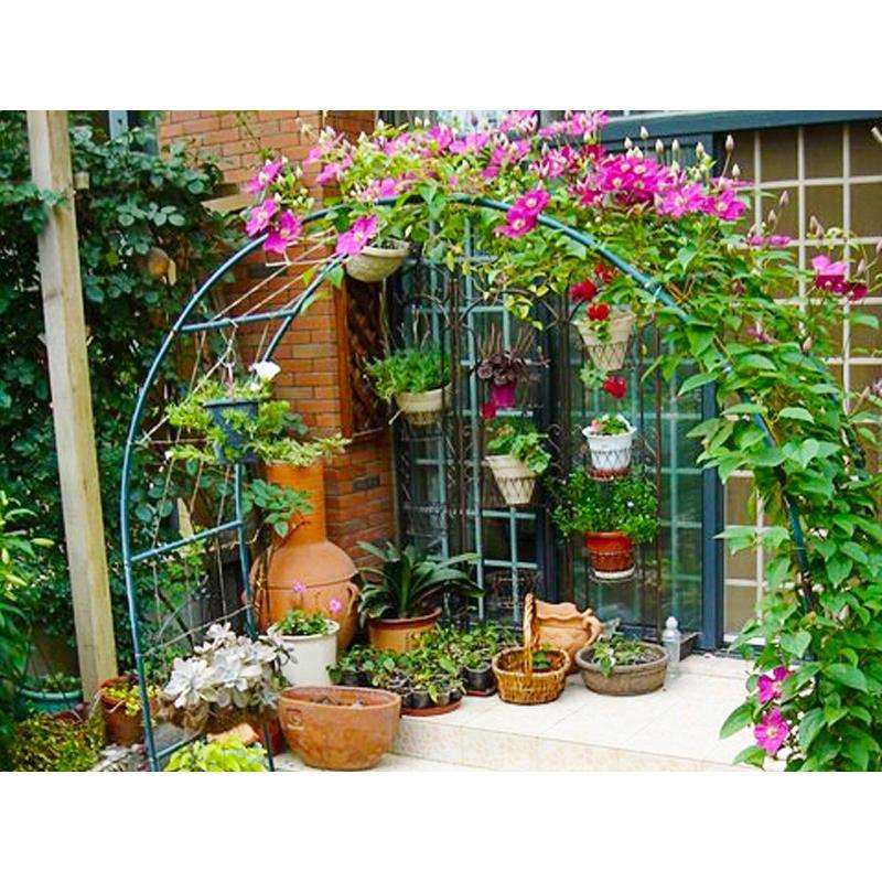 庭院铁艺葡萄引路架拱门花架蔷薇爬藤架子月季丝瓜拱形花支架阳台