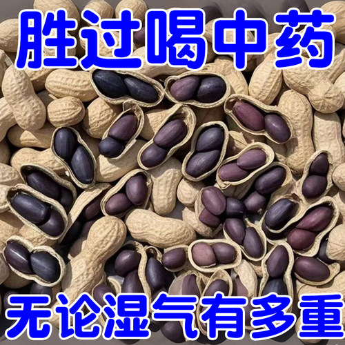 【富硒养胃】富硒黑花生正品云南黑花生带壳紫衣花生黑衣养胃花生
