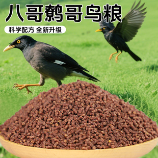 八哥鸟粮专用鹩哥画眉饲料鹦鹉鸟食天然谷物饲料营养均衡适口性好