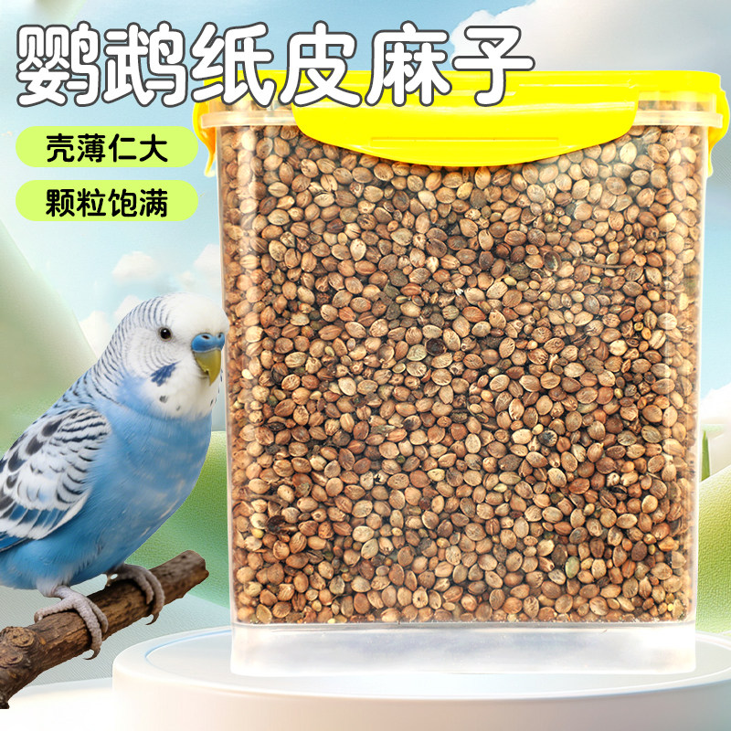 鹦鹉专用纸皮麻子大颗粒饱满图片