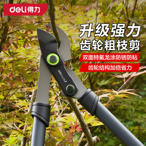 得力剪刀修枝剪剪树枝果树专用强力大粗枝剪园林园艺剪子绿化工具
