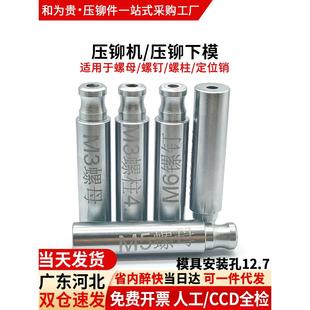 压铆模具压铆螺母压铆螺柱压铆螺钉定位销冲头液压压铆机下模配件